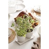 image:imageLenox 895081 French Perle Scallop Cylinder VaseHerb Pot with Tray