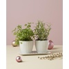 image:imageLenox 895081 French Perle Scallop Cylinder VaseHerb Pot with Tray
