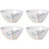 Dinner Bowls  Set of 4