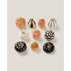 image:imageLenox Celebrate Flowers 10Piece Ornament Set 050 LB Multi10Piece Ornament Set  Pumpkins