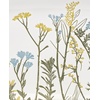 image:imageLenox Home And Kitchen Wildflowers Hors dOeuvres Tray Stoneware Material Serving Tray Dishwasher amp Microwave Safe Table Decor Wild Flower Design Serving PlatterWhite 1 Piece 11 Inch Length