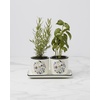 image:imageLenox Planters Chef Snoopy 3Piece Herb Pot and Tray Set Porcelain Kitchen Herb Planter Set for Indoor Herbs Home Decor Display Plant Pots Planter Snoopy Collection WhiteBlack 3 Pieces