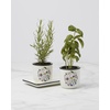 image:imageLenox Planters Chef Snoopy 3Piece Herb Pot and Tray Set Porcelain Kitchen Herb Planter Set for Indoor Herbs Home Decor Display Plant Pots Planter Snoopy Collection WhiteBlack 3 Pieces