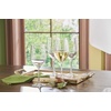 image:imageLenox Tuscany Classics Stemless Glass Set Buy 4 Get 6 26 LB ClearWhite Wine Glasses