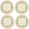 Dinner Plates  Set of 4