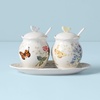 image:imageLenox Butterfly Meadow 3Piece Canister Set 660 LB Multi7Piece Condiment Set