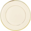 Dinner Plate