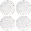 Dinner Plates  Dots  Set of 4