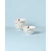 image:imageLenox 894543 Butterfly Meadow Vines 4Piece Rice Bowl SetRice Bowls  Set of 4