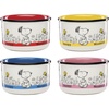 Snack Bowls