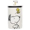Large Canister