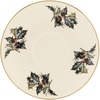 Saucer