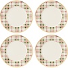 Dinner Plates  Set of 4